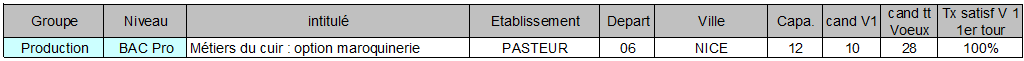 BAC Pro metiers du cuir option maroquinerie