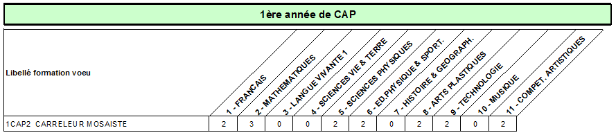 CAP carreleur mosaiste