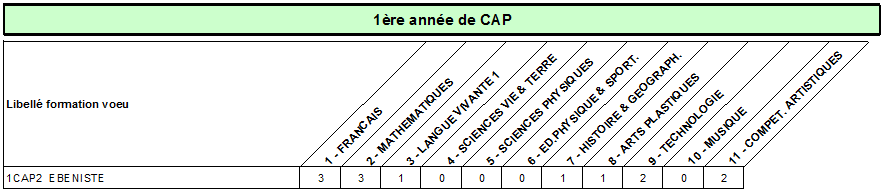 CAP ebeniste