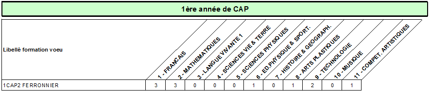 CAP ferronnier