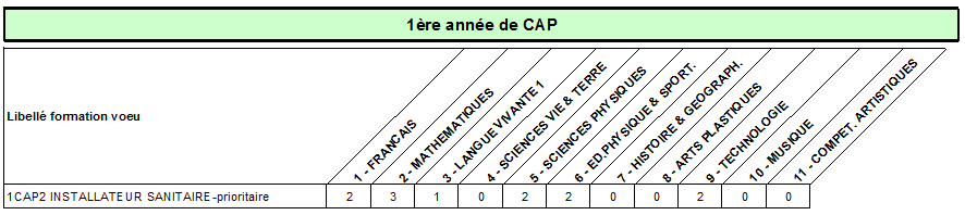 CAP installateur sanitaire P