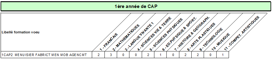 CAP menuisier fabrict men mob agencemt