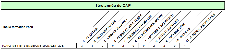 CAP metiers enseigne signaletique