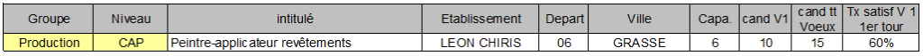CAP peintre applicateur revetements