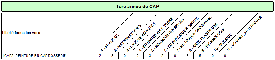 CAP peinture en carrosserie