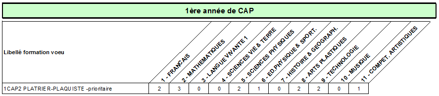 CAP platrier plaquiste P