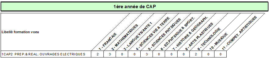 CAP prep real ouvrages electriques