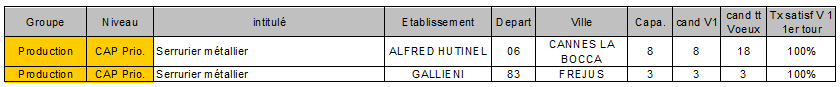 CAP prio serrurier metallier