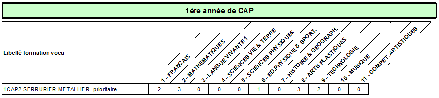 CAP serrurier metallier P
