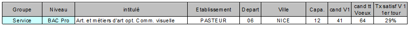 BAC Pro art et metiers d'art opt comm visuelle