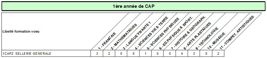 CAP sellerie generale