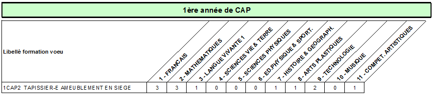 CAP tapissier ameublement siege