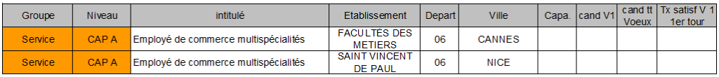 CAP A employé commmerce multispéc 06