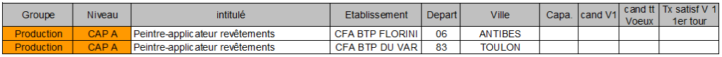 CAP A peintre applicateur revetements