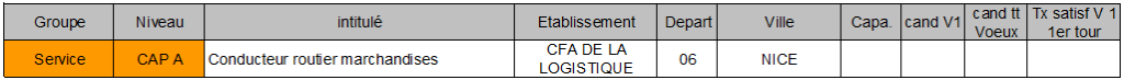Cfa de la logistique NICE