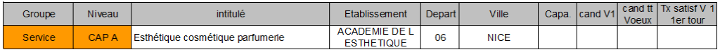 academie de l esthetique NICE